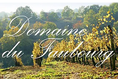 Logo-DomaineFaubourg